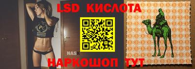 jwh Новодвинск