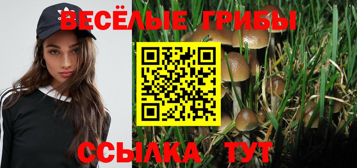 Галлюциногенные грибы мухоморы  Вход с VPN  Псилоцибиновые грибы GOLDEN TEACHER  Радужный 